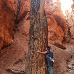 tree-hug-0590